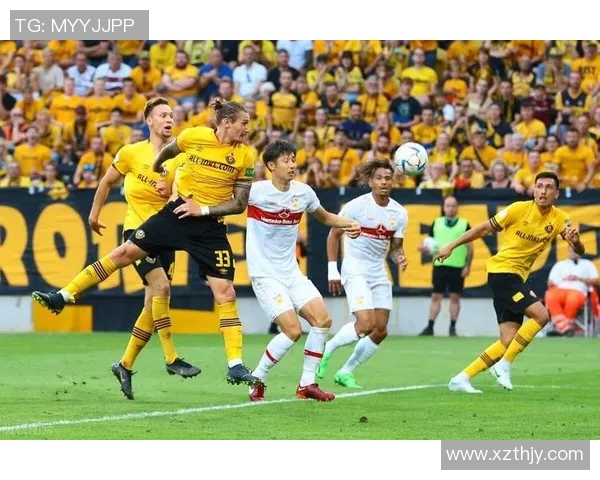 深圳网球队实力分析与赛季表现评估的深度解读