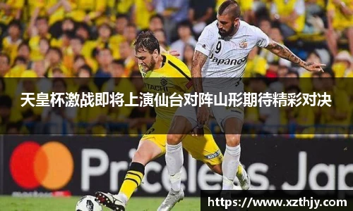 DB电竞