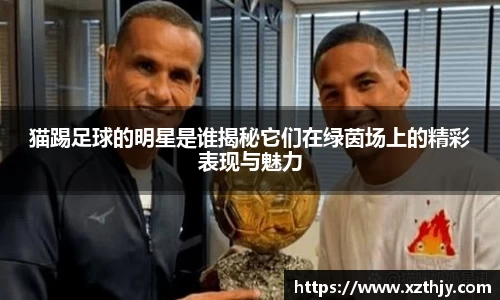 DB电竞官方网站